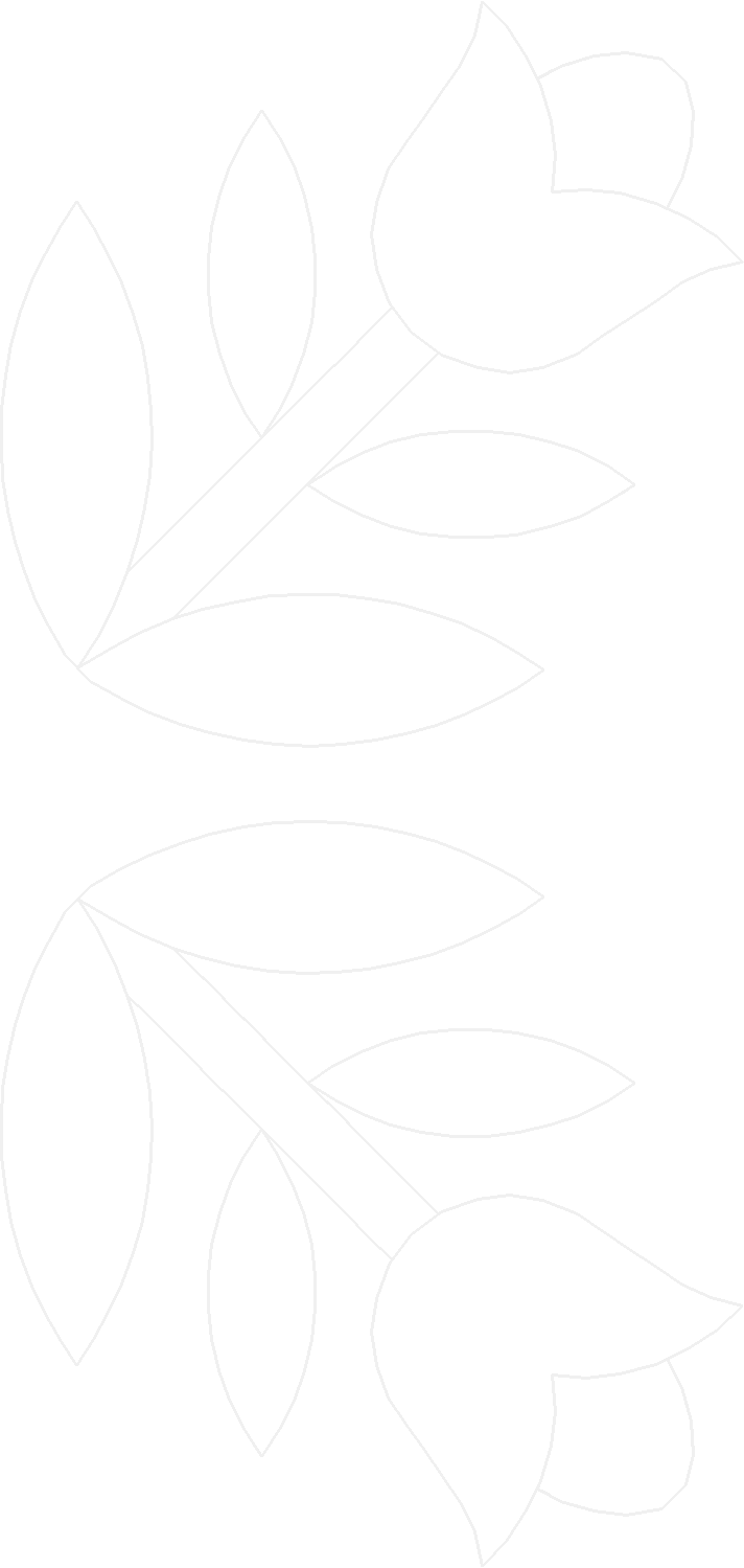 22 037