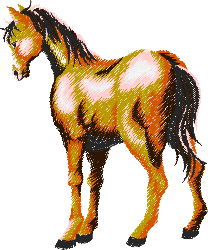 25 Chevaux003