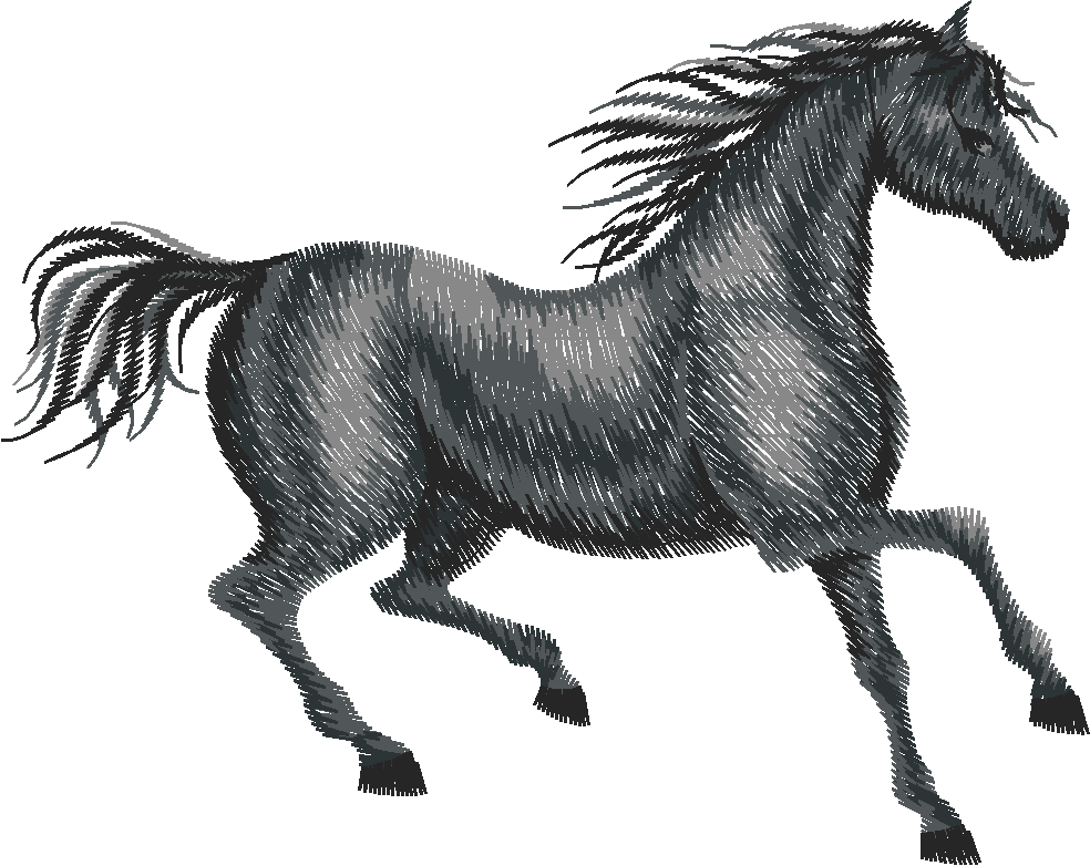 25 Chevaux008