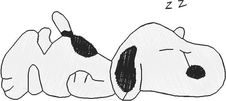 Nø20