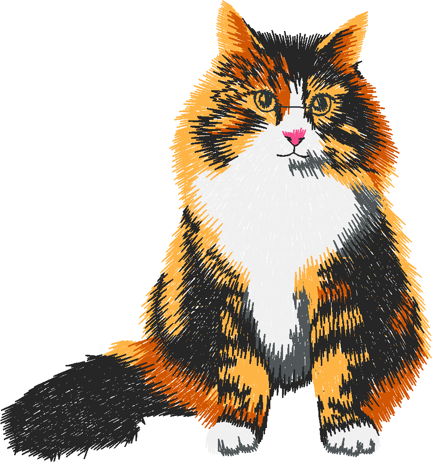 Chat16