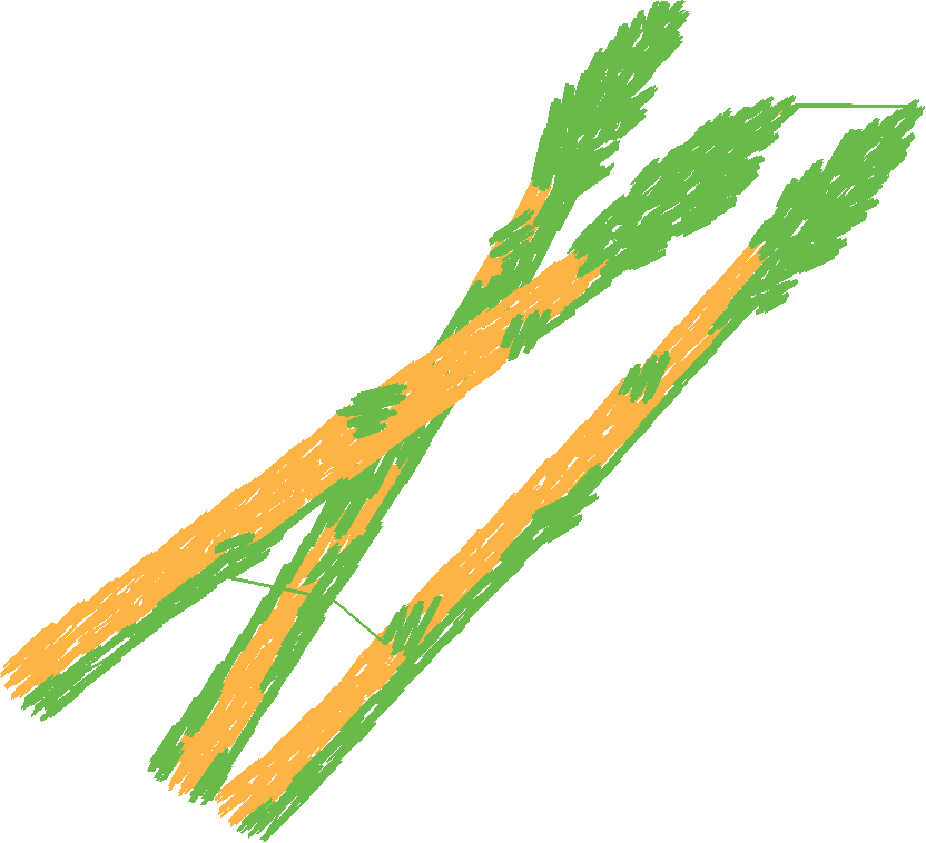 Fruit Et Legume021