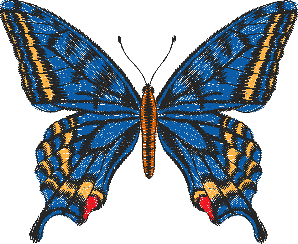 Papillon Nø47001