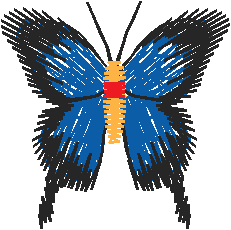 Papillon Nø47011