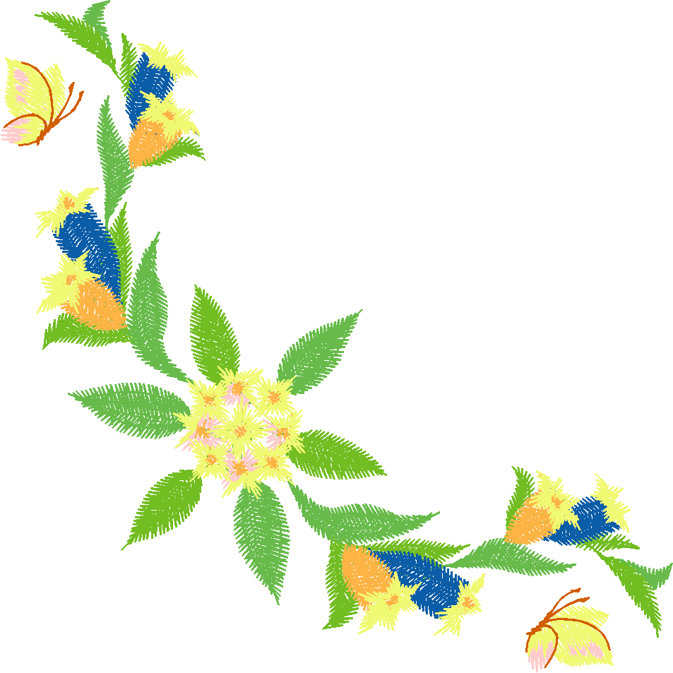 Papillon Nø47022