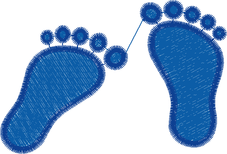 Piedi