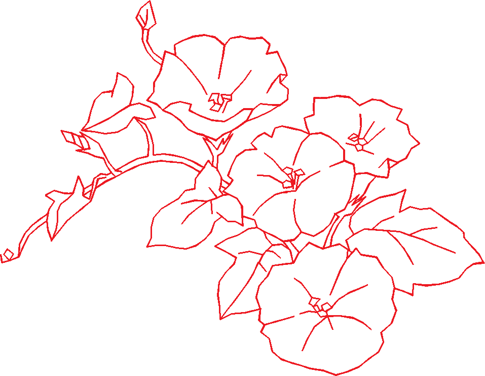 N°19