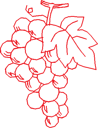 N°28