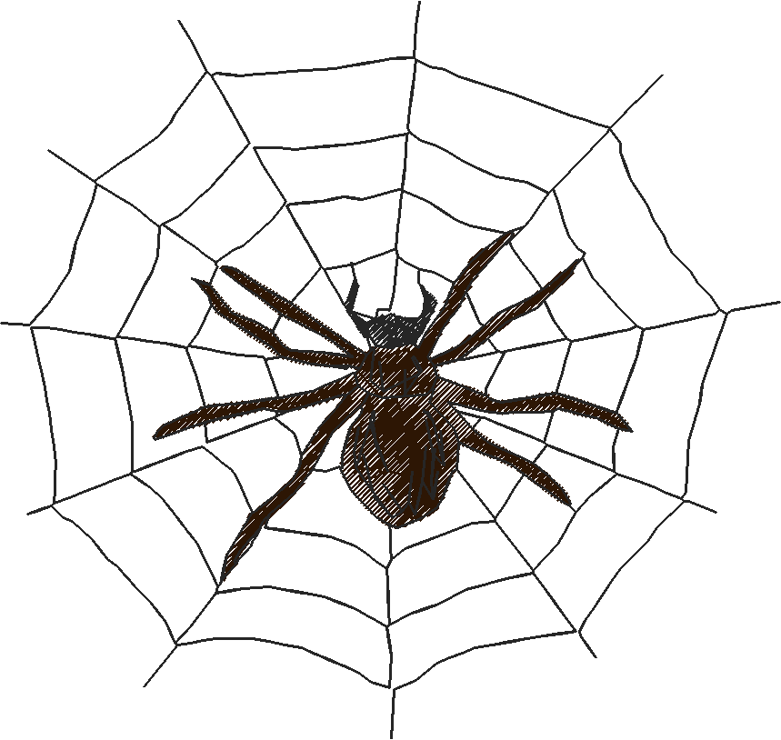 Bugs 10  (15)