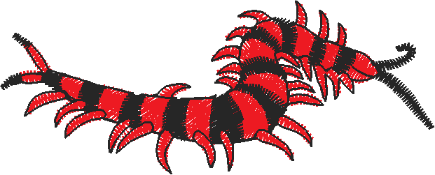 Bugs 8  (4)