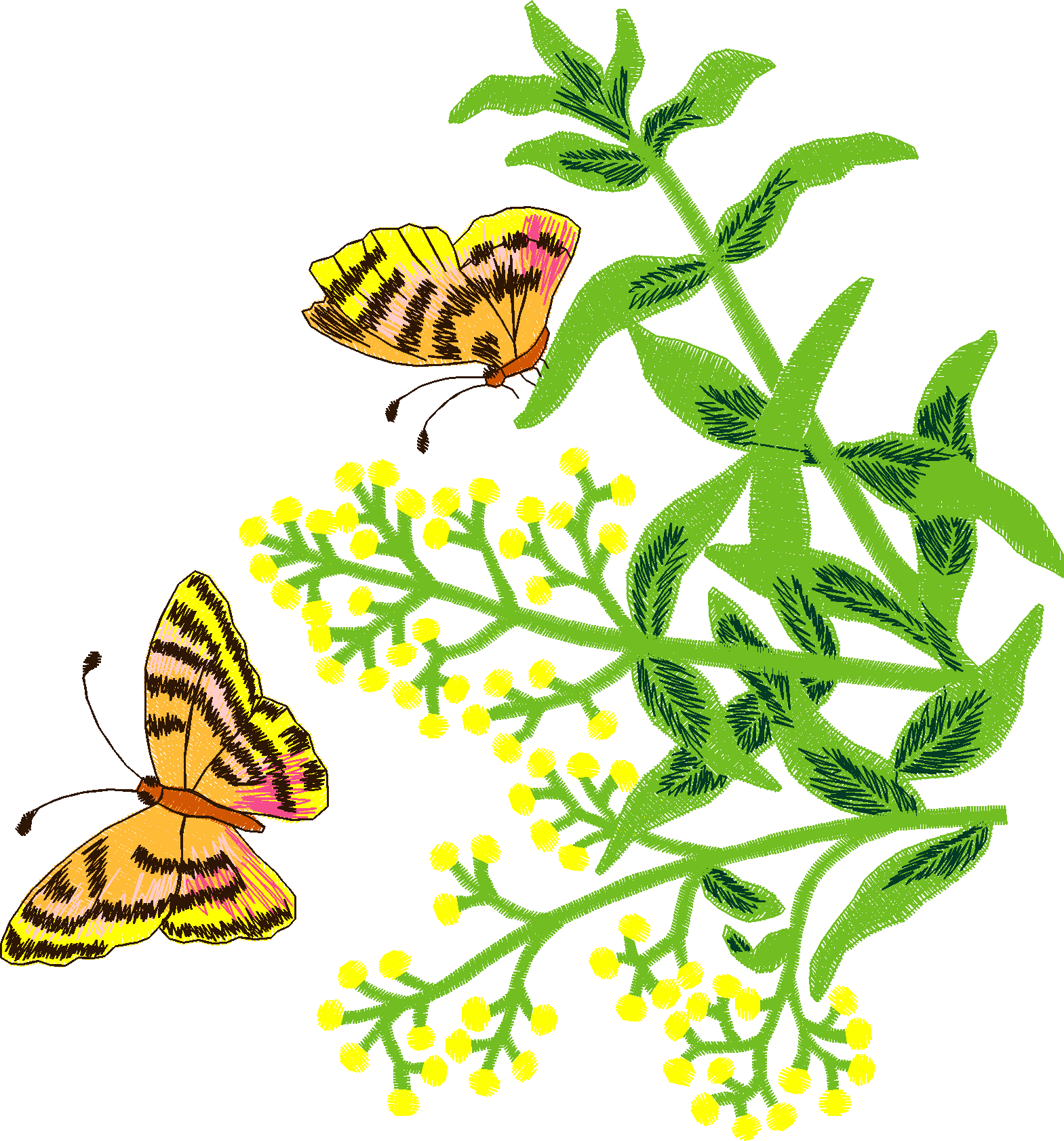Butterflies 11  (8)