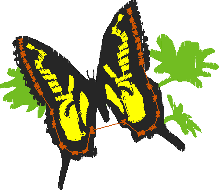 Butterflies 13  (6)