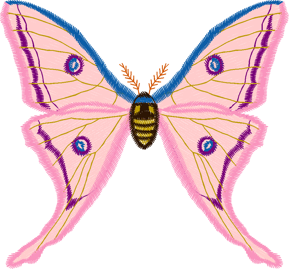 Butterflies 14  (3)