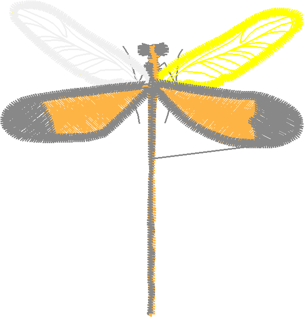 Butterflies 15  (17)