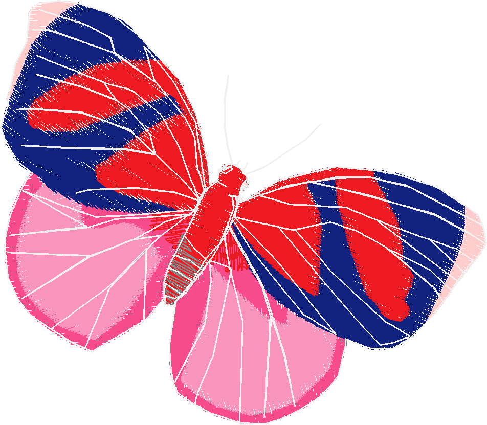 Butterflies 18 (31)