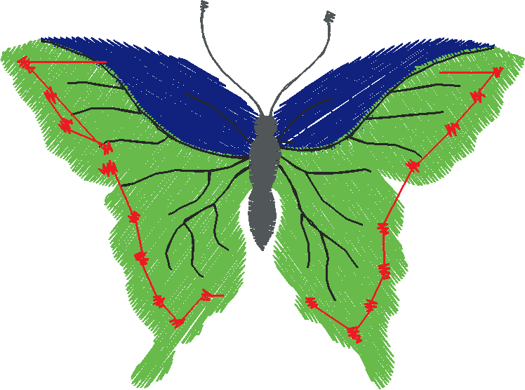 Butterflies 18 (42)