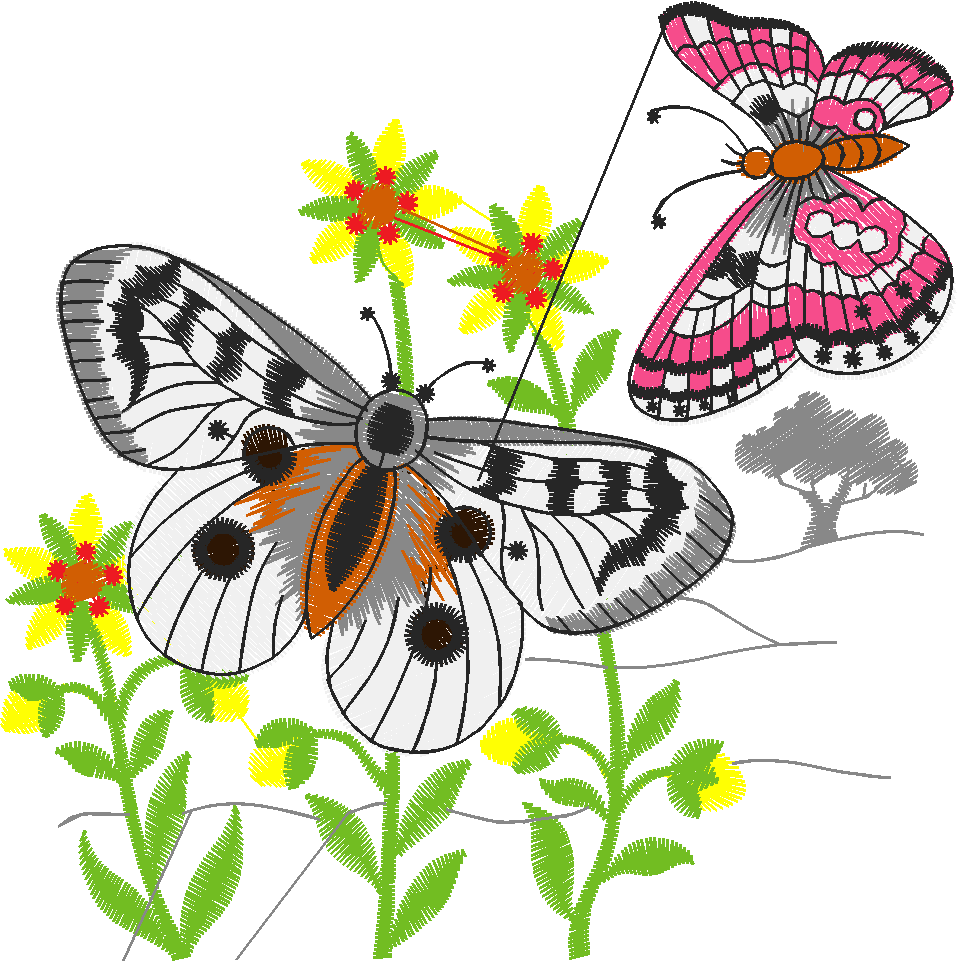 Butterflies 21  (1)