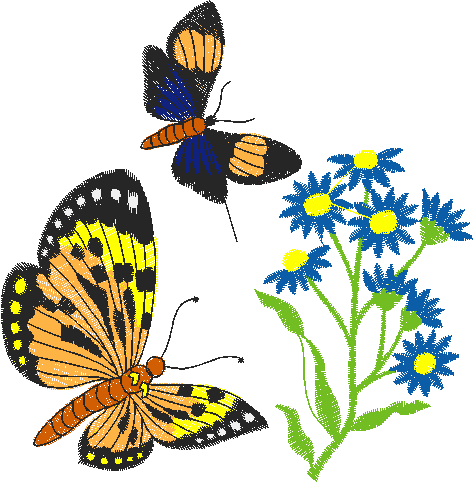 Butterflies 21  (6)
