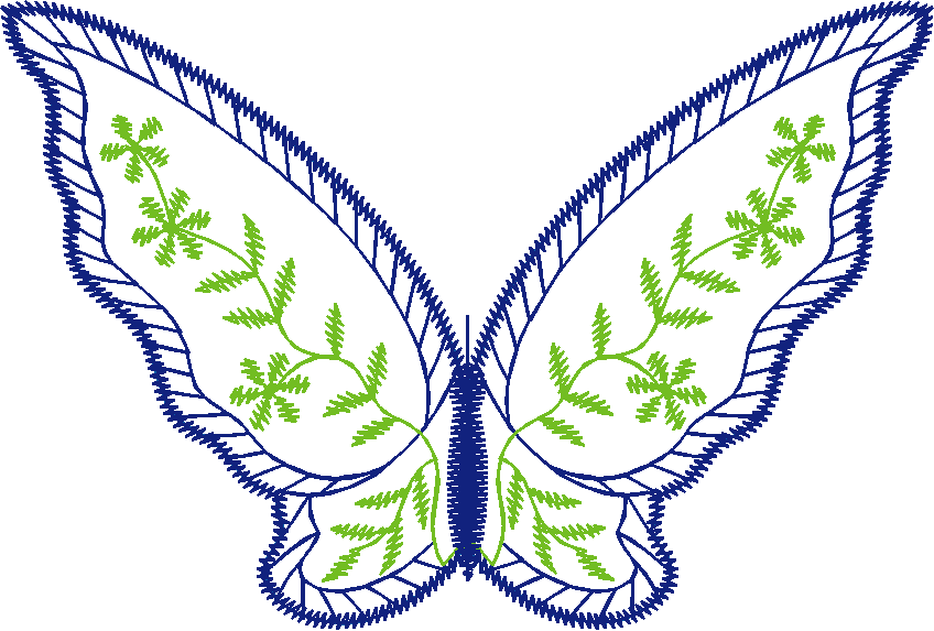 Butterflies 22 (11)