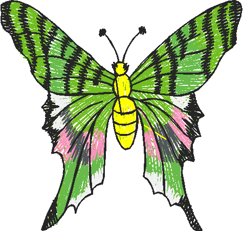 Butterflies 22 (33)