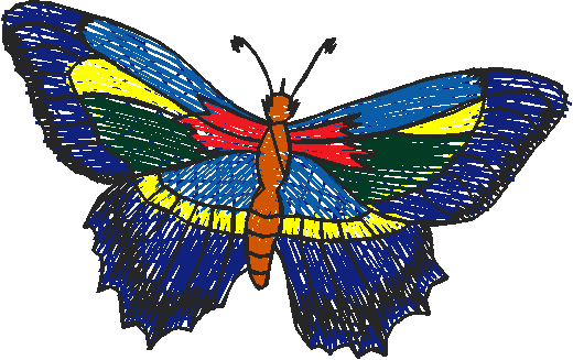 Butterflies 22 (36)