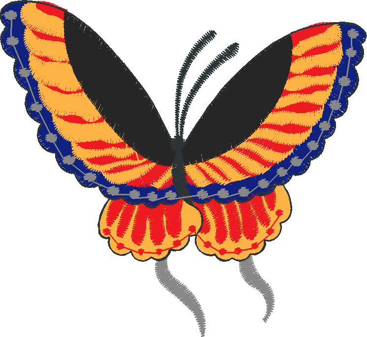 Butterflies 23 (17)