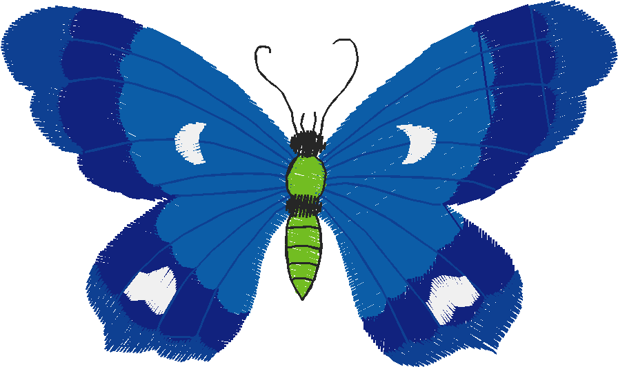 Butterflies 23 (28)