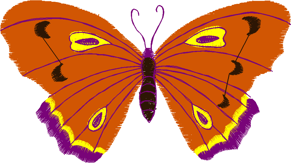 Butterflies 23 (35)