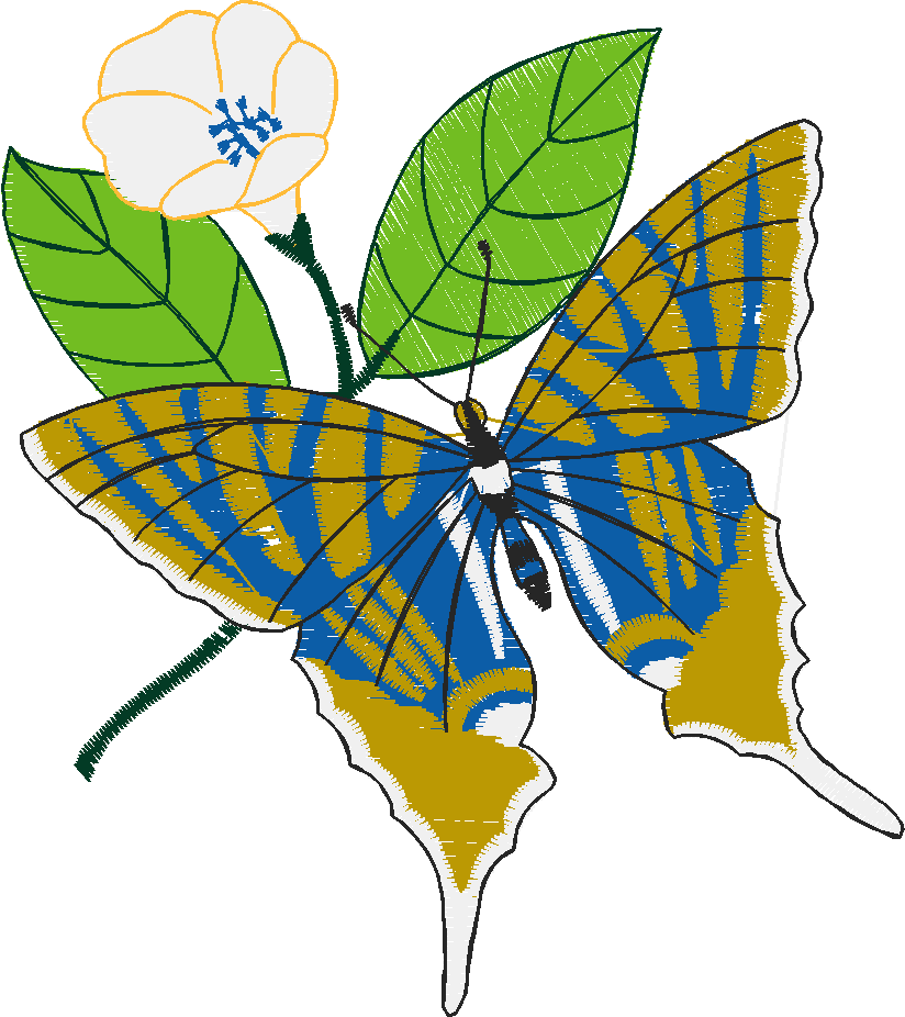 Butterflies 23 (47)