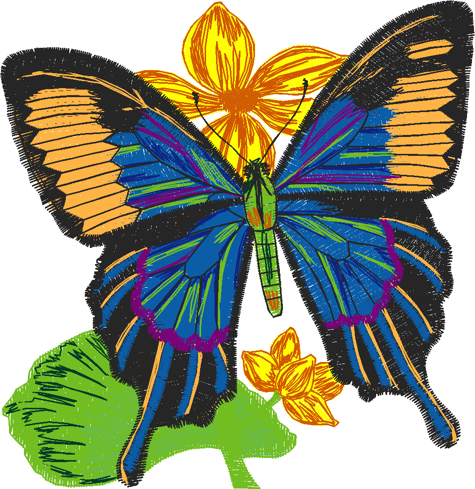 Butterflies 24 (1)