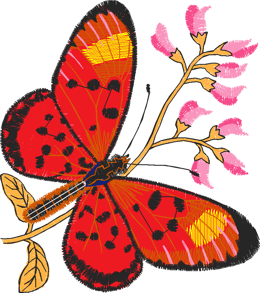Butterflies 24 (23)