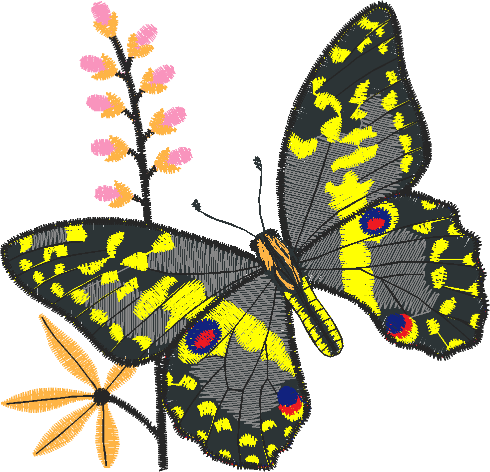 Butterflies 24 (27)