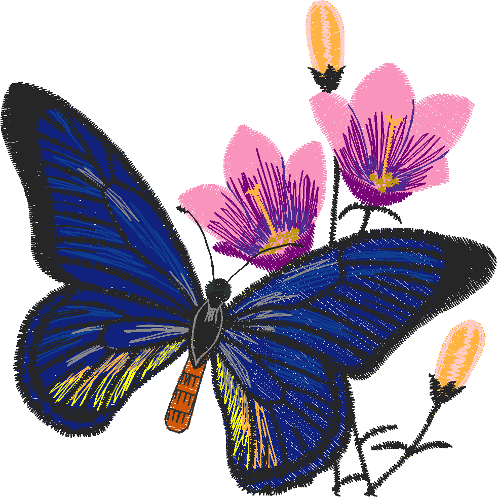 Butterflies 24 (33)
