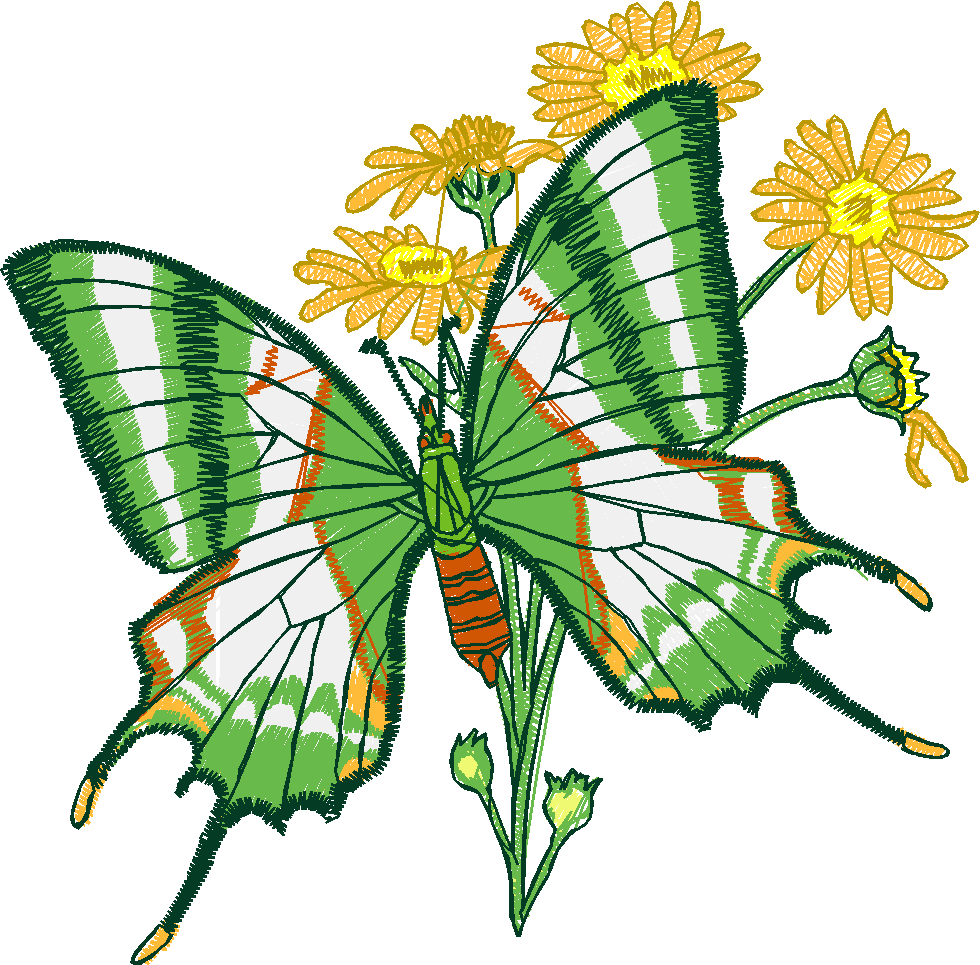 Butterflies 24 (9)