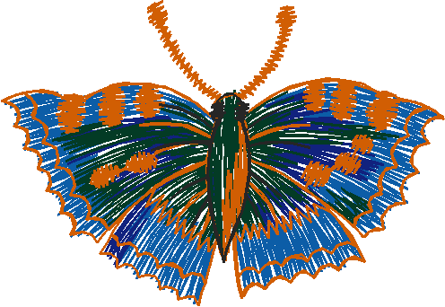 Butterflies 26 (11)