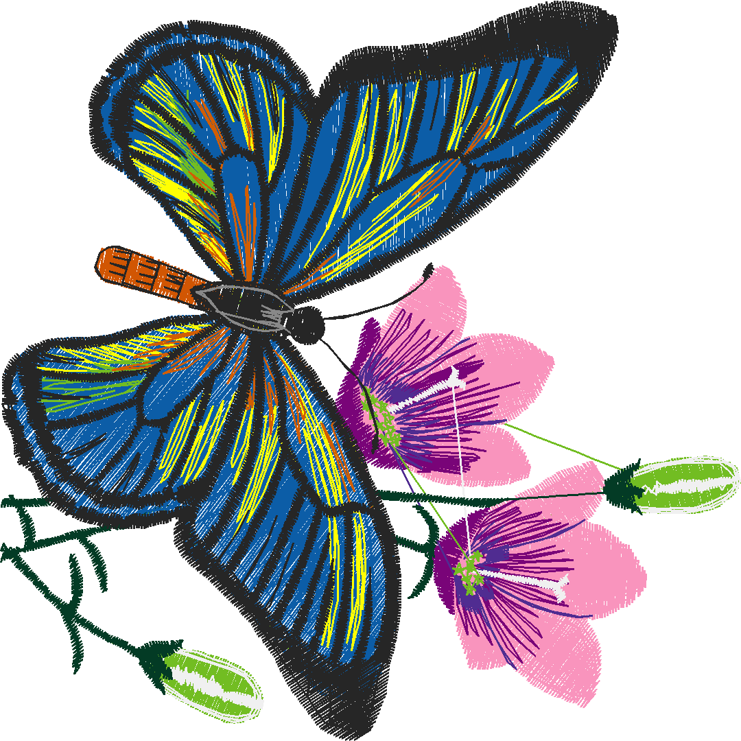 Butterflies 26 (37)