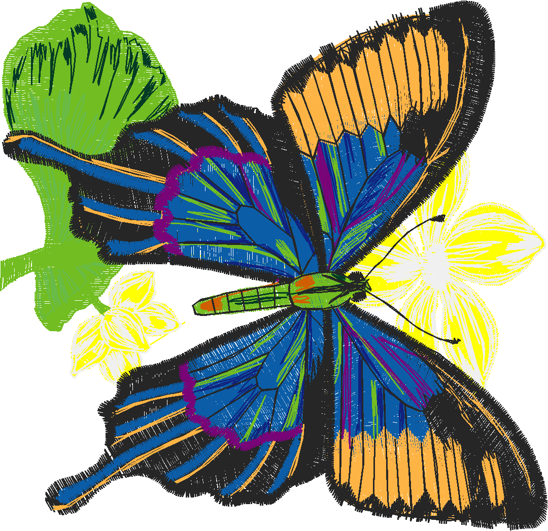 Butterflies 26 (41)