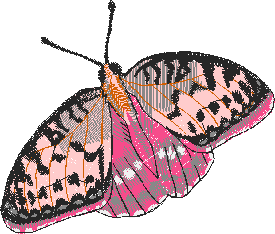Butterflies 27 (27)