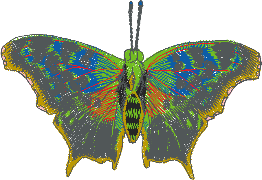 Butterflies 27 (30)