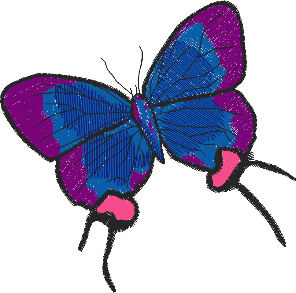 Butterflies 27 (42)