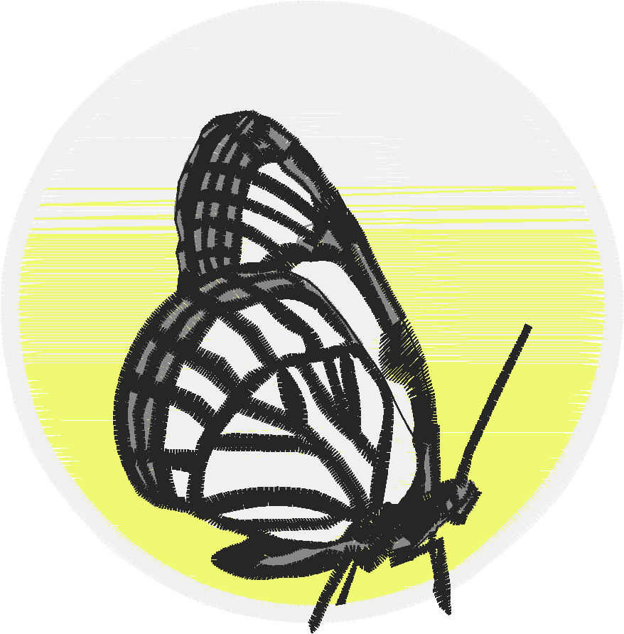 Butterflies 27 (44)