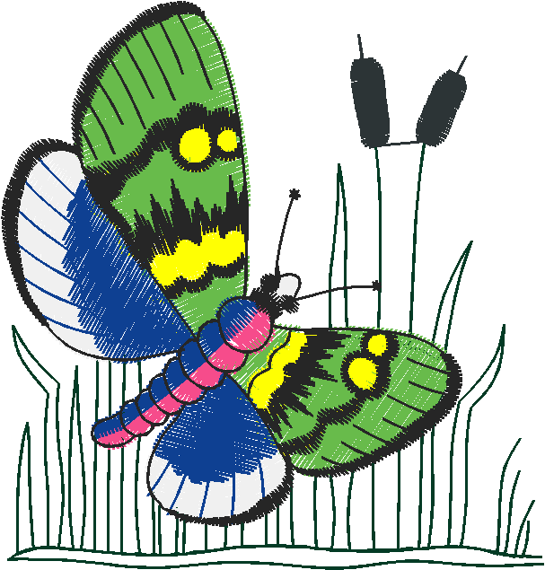 Butterflies 27 (7)