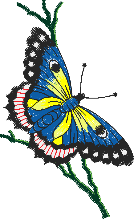 Butterflies 27 (9)