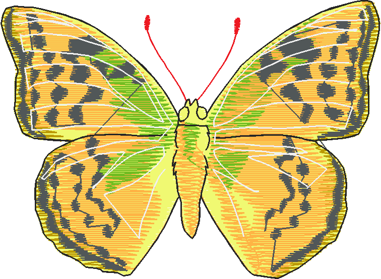 Butterflies 28 (4)