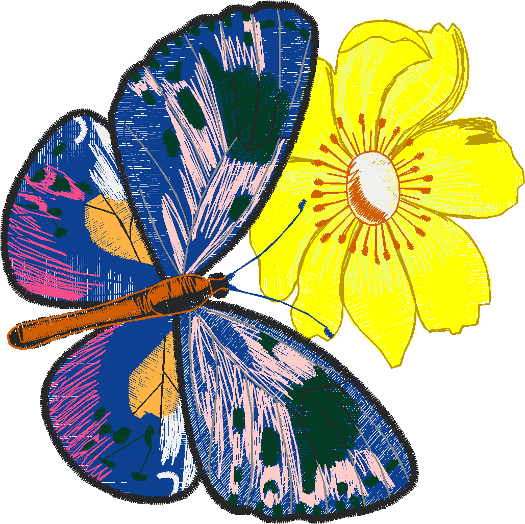 Butterflies 29 (16)