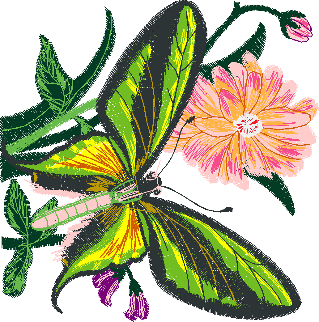 Butterflies 29 (24)