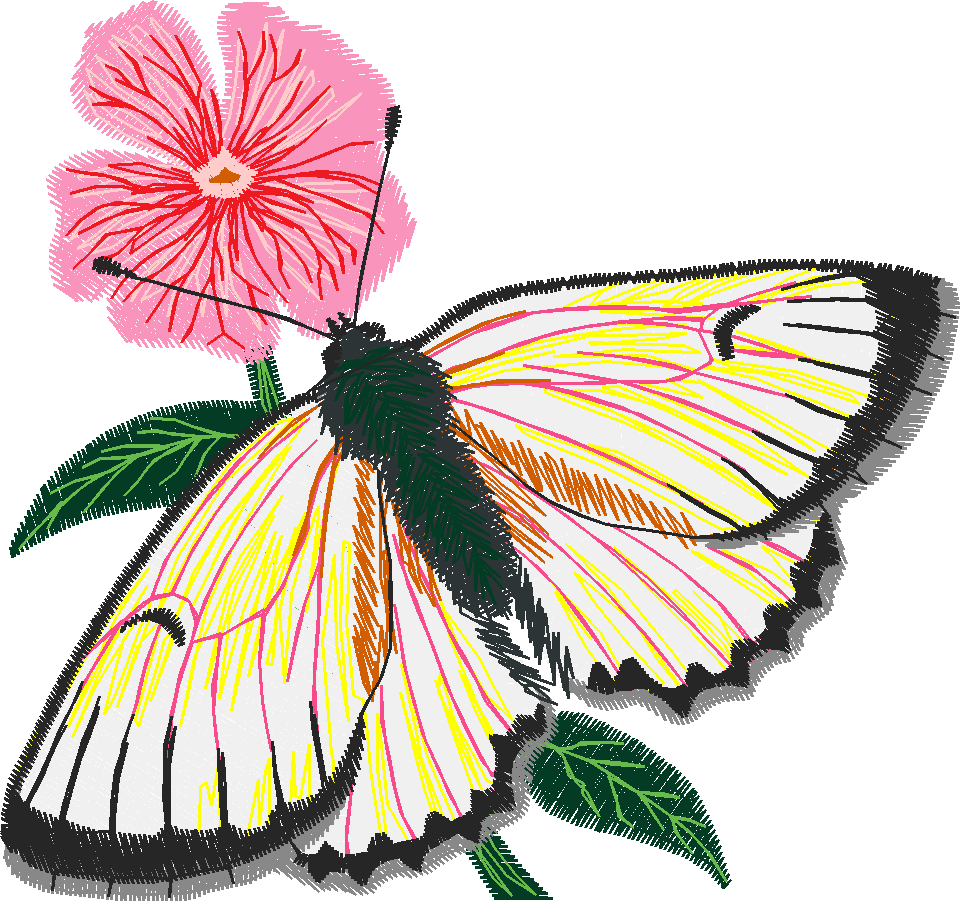 Butterflies 29 (25)