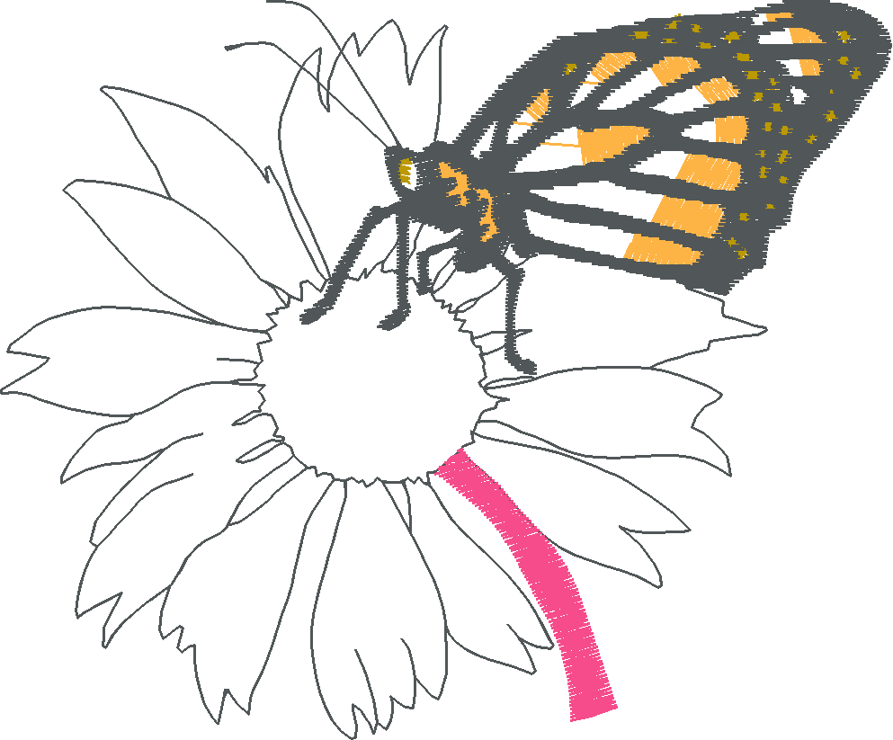 Butterflies 29 (3)