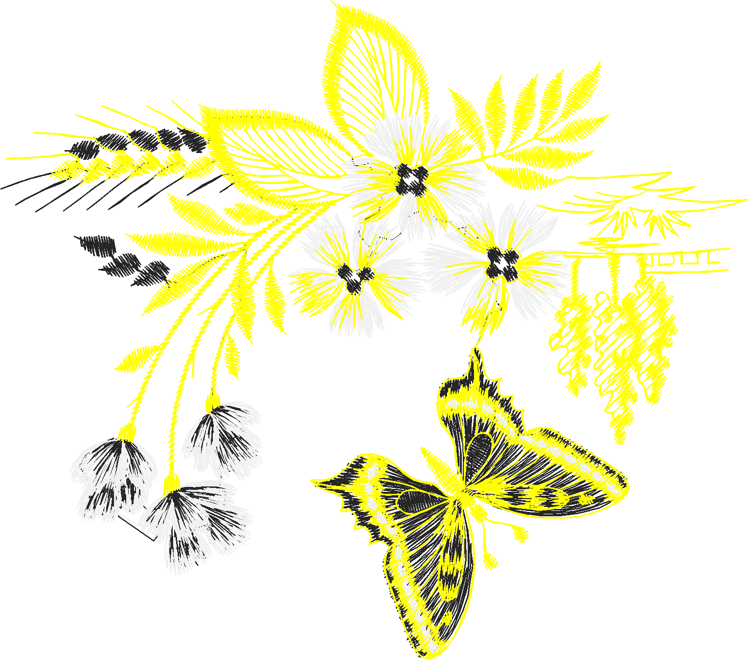 Butterflies 29 (35)