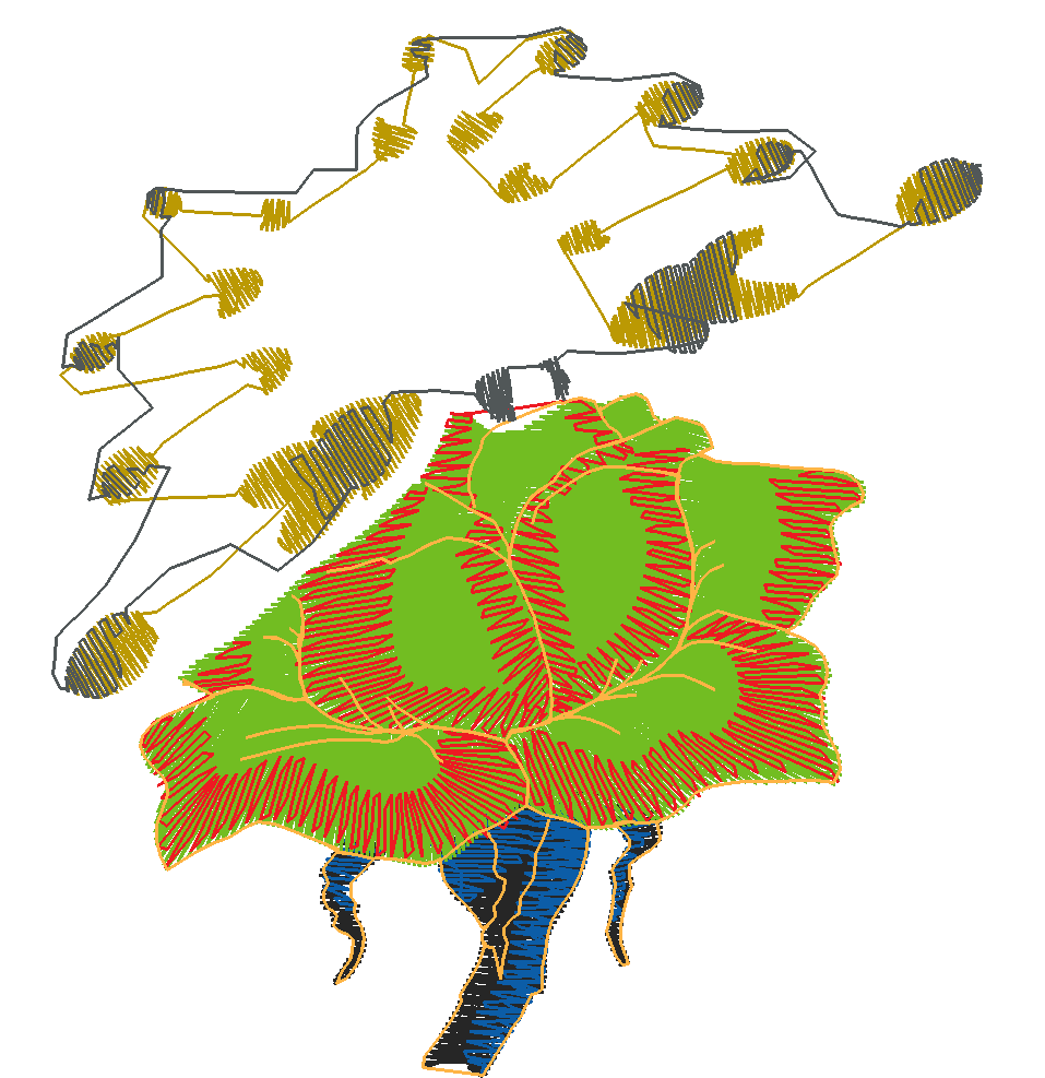 Butterflies 29 (6)